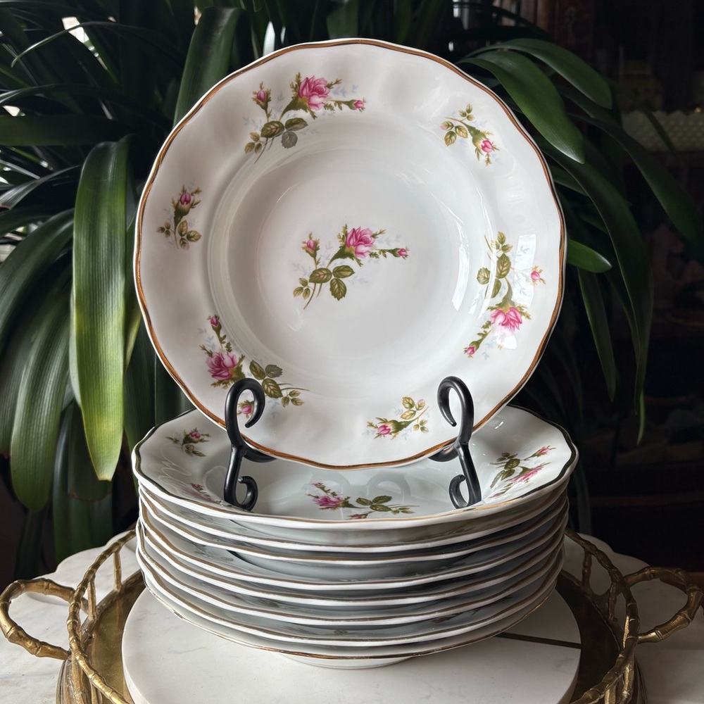 Rare Set of 9 Favolina-Karolina Poland Moss Rose VTG Porcelain Rimmed Soup Bowls